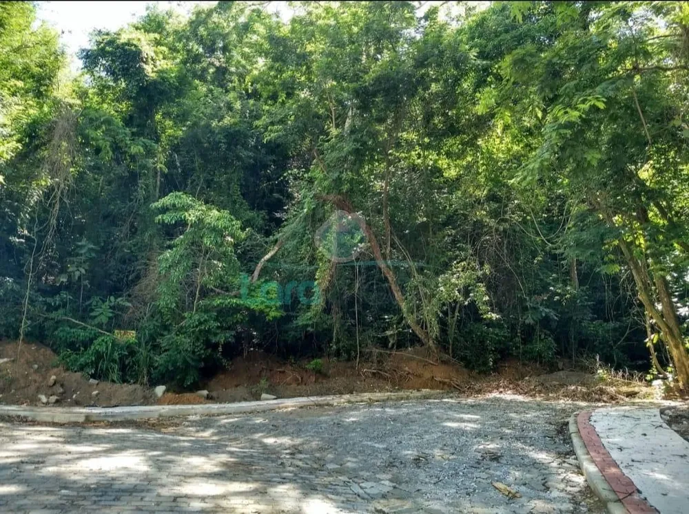 Terreno, 1300 m² - Foto 2