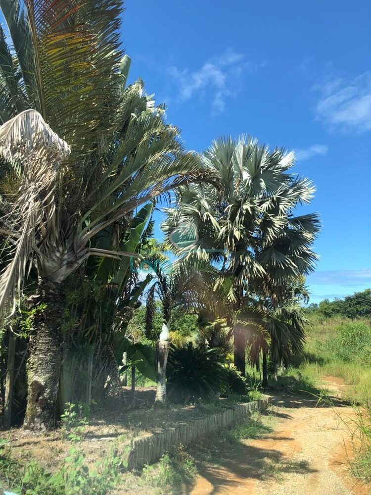 Terreno à venda, 10000m² - Foto 4
