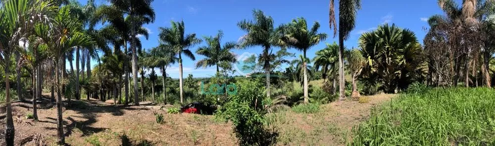 Terreno, 10000 m² - Foto 5