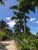 Terreno, 10000 m² - Foto 3