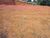 Terreno, 2400 m² - Foto 1