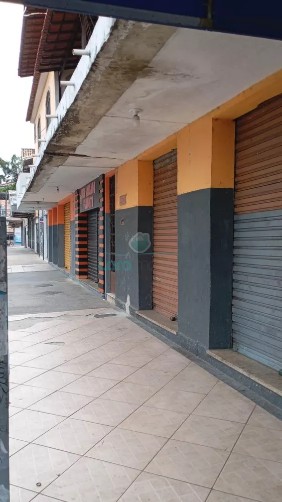 Casa, 4 quartos, 230 m² - Foto 3