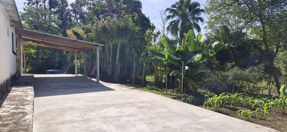 Sítio, 2 quartos, 5000 m² - Foto 1