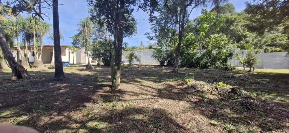 Sítio, 2 quartos, 5000 m² - Foto 2