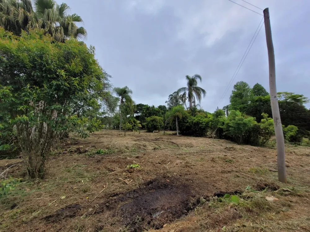 Sítio, 2 quartos, 5000 m² - Foto 13