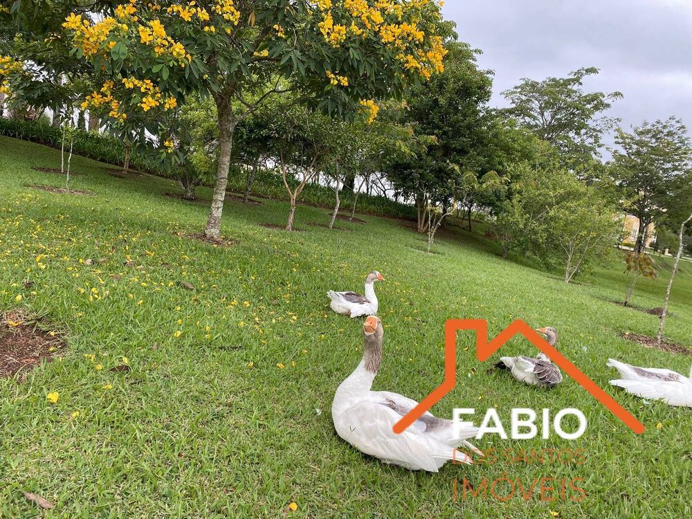 Terreno, 1260 m² - Foto 3