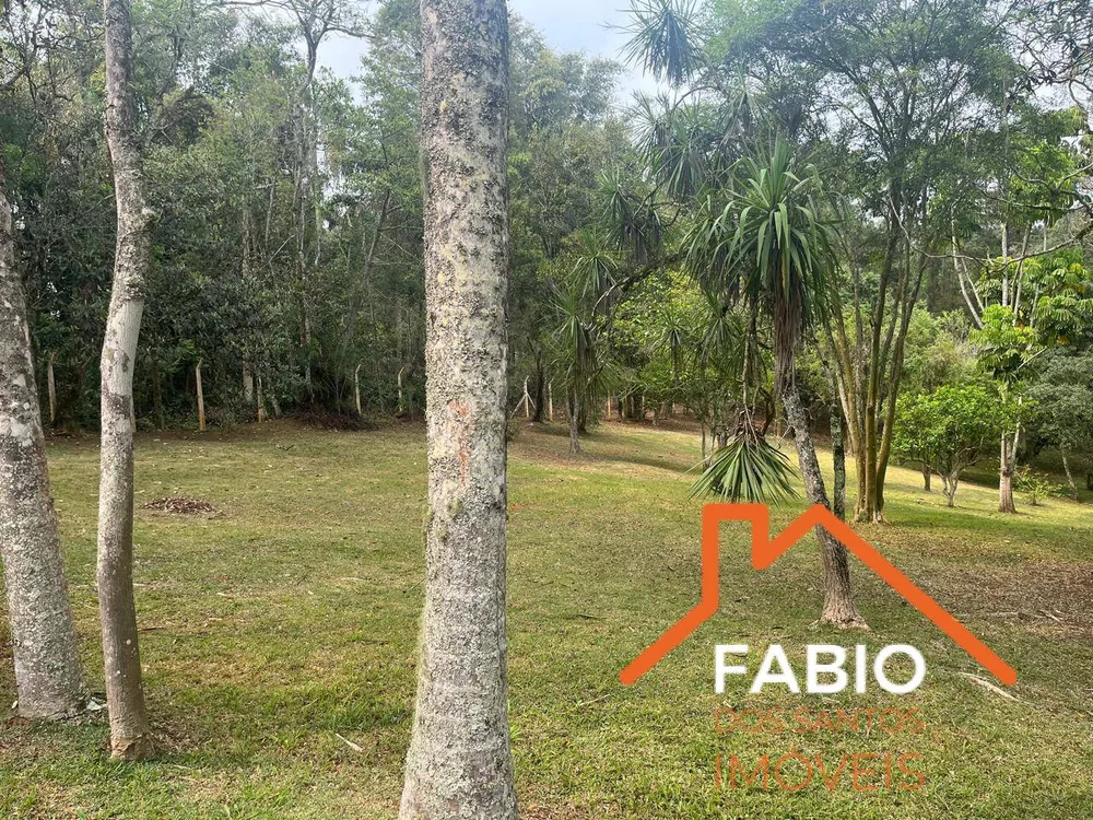 Chácara, 6 quartos, 8000 m² - Foto 5
