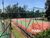 Terreno, 560 m² - Foto 1