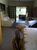 Casa, 2 quartos, 100 m² - Foto 3