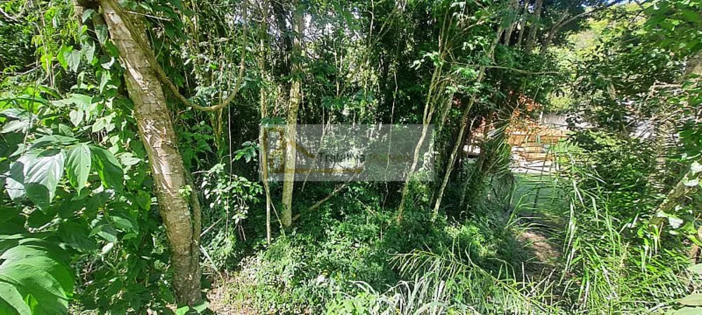 Terreno, 1070 m² - Foto 5