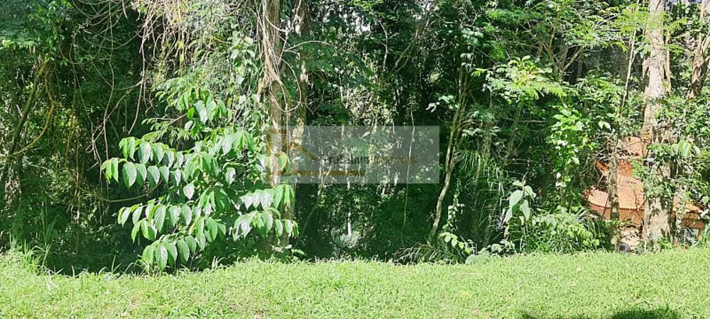 Terreno, 1070 m² - Foto 4