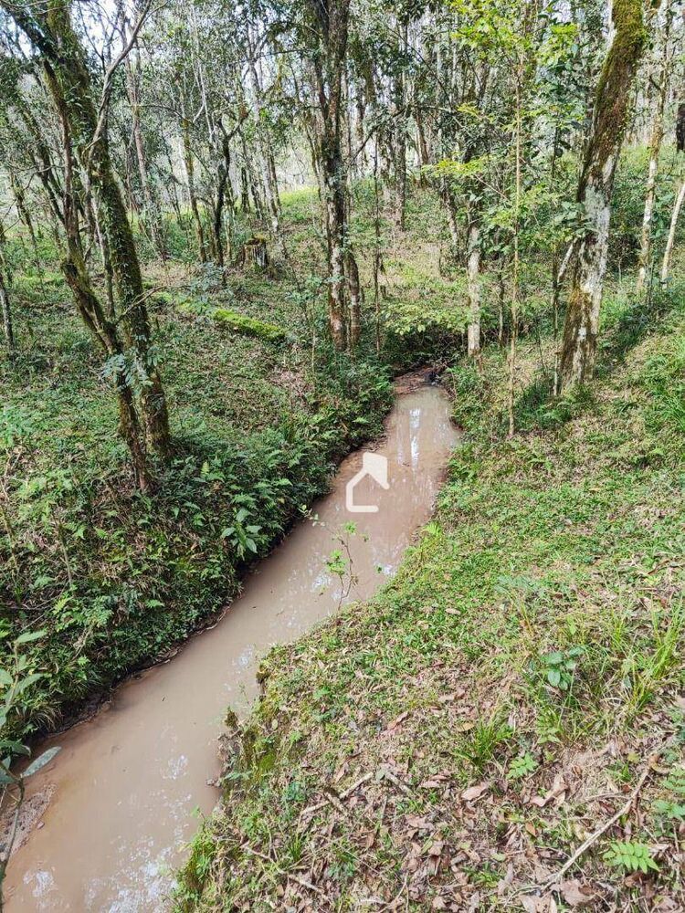 Terreno, 36 hectares - Foto 12