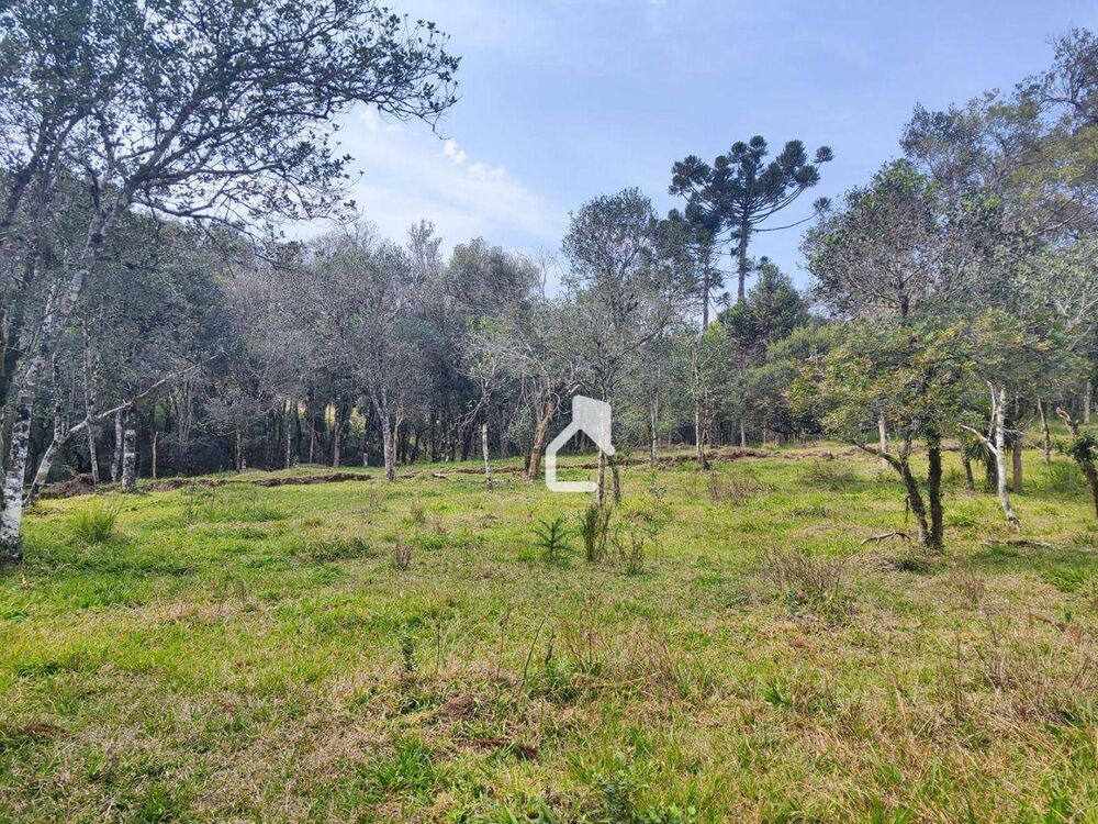 Terreno, 36 hectares - Foto 11