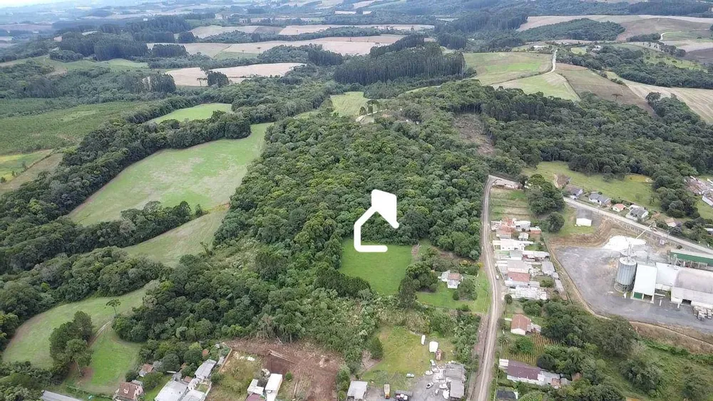 Terreno, 3 hectares - Foto 4