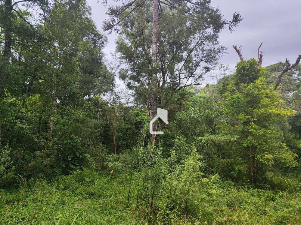 Chácara, 1 quarto, 2 hectares - Foto 4