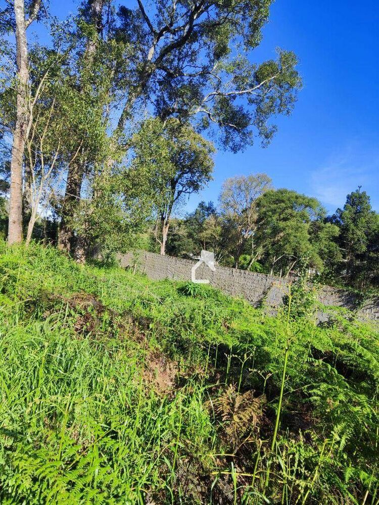 Terreno, 828 m² - Foto 9