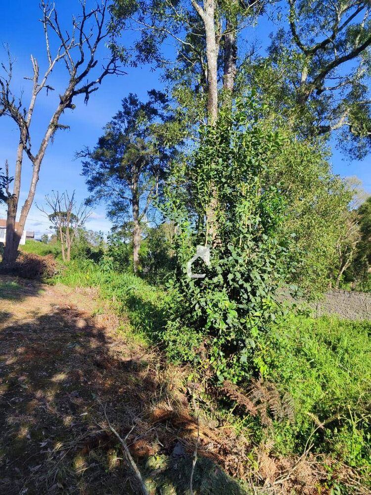 Terreno, 828 m² - Foto 2