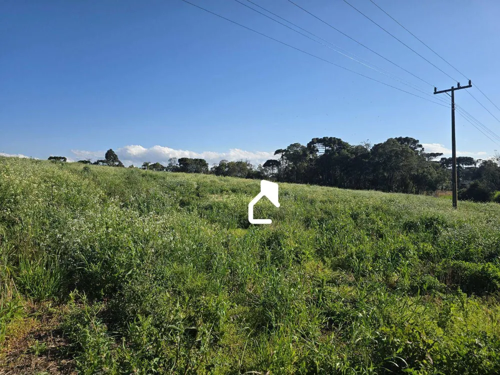 Terreno, 8 hectares - Foto 3