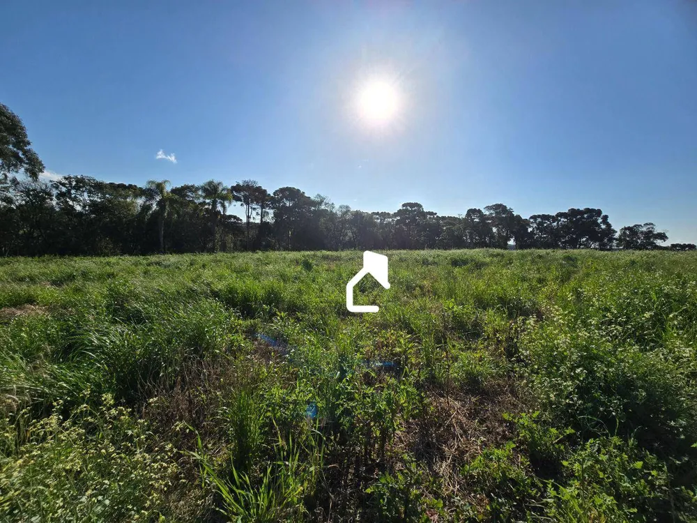 Terreno, 8 hectares - Foto 4