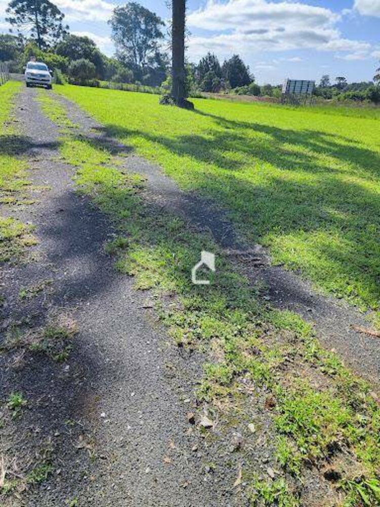 Sítio, 3 quartos, 3 hectares - Foto 19