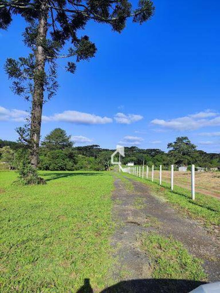 Sítio, 3 quartos, 3 hectares - Foto 12