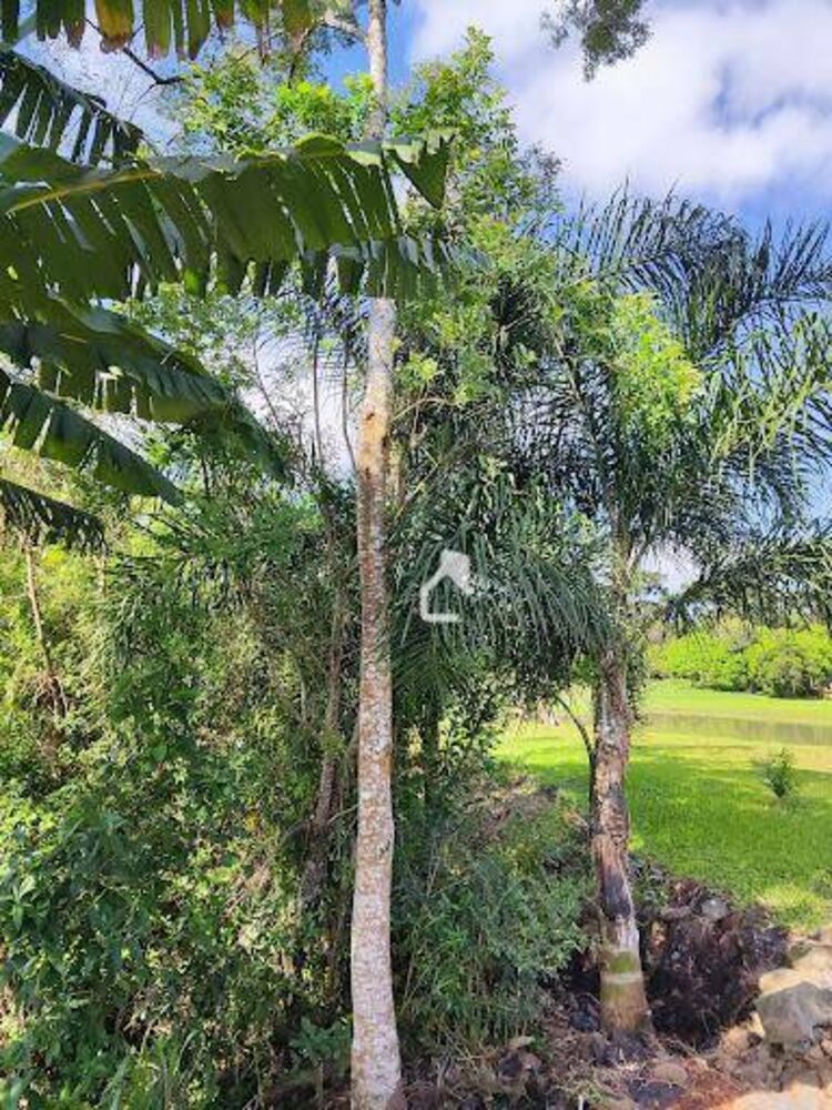 Sítio, 3 quartos, 3 hectares - Foto 13