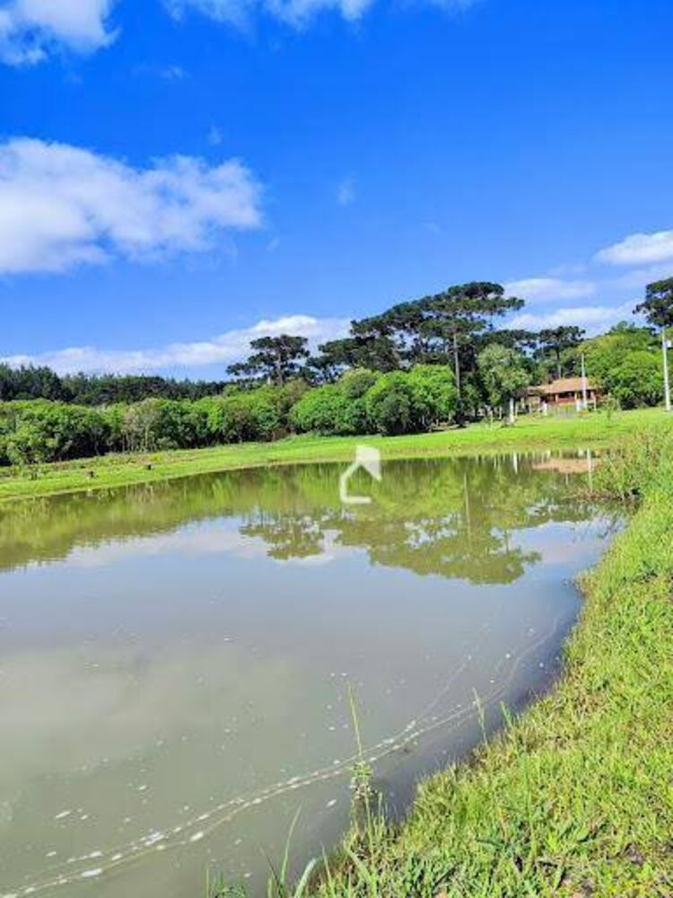 Sítio, 3 quartos, 3 hectares - Foto 11