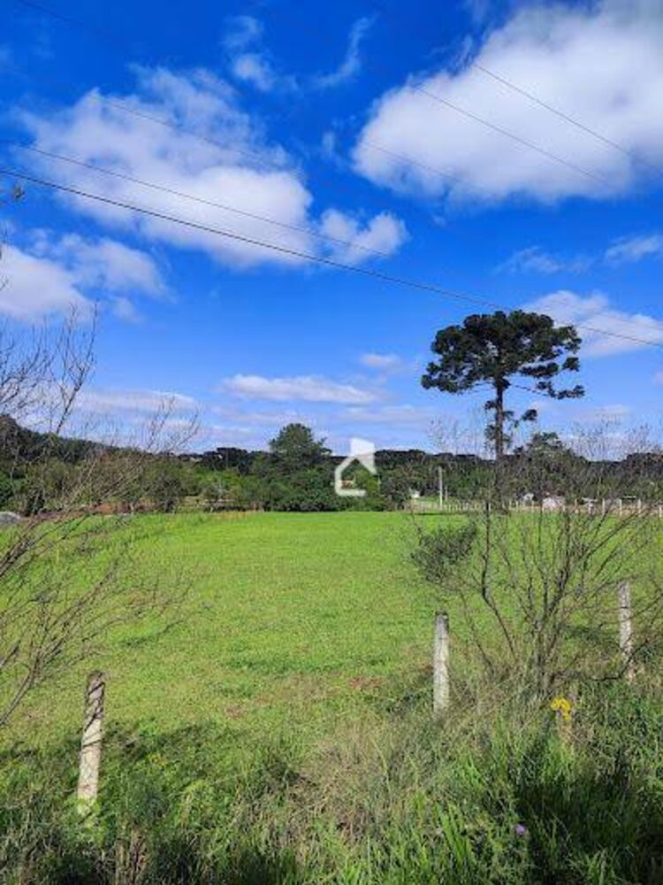 Sítio, 3 quartos, 3 hectares - Foto 17