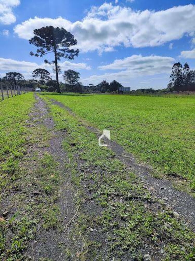 Sítio, 3 quartos, 3 hectares - Foto 15