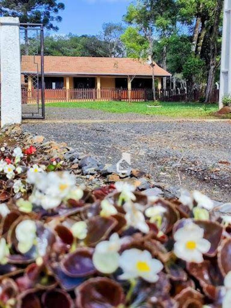 Sítio, 3 quartos, 3 hectares - Foto 2