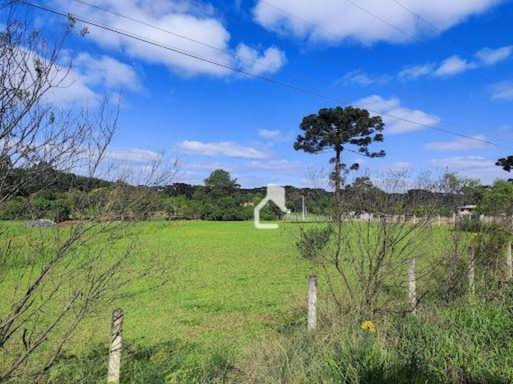 Sítio, 3 quartos, 3 hectares - Foto 14