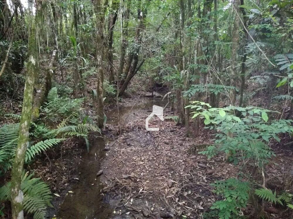 Terreno, 5568 m² - Foto 1