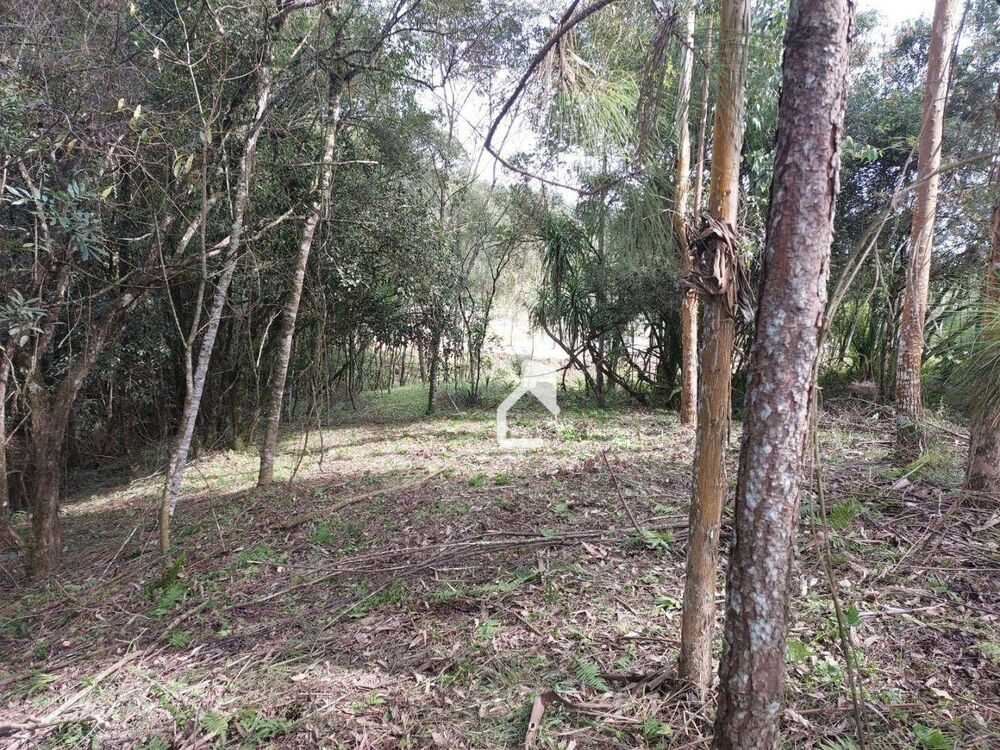 Terreno, 5568 m² - Foto 19