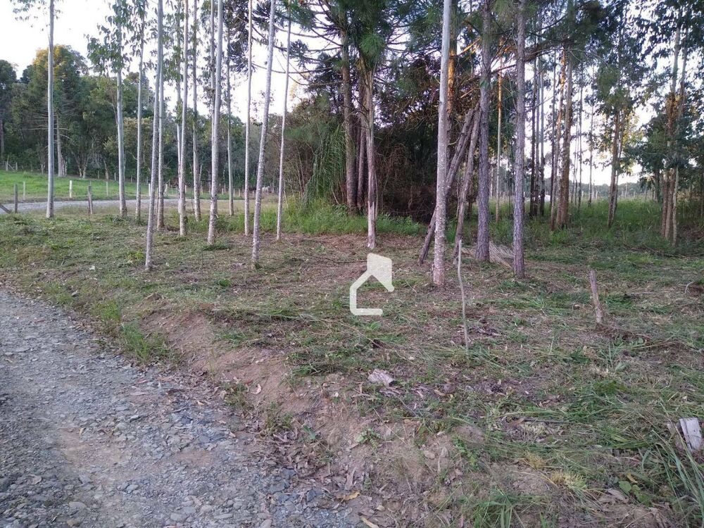 Terreno, 5568 m² - Foto 5