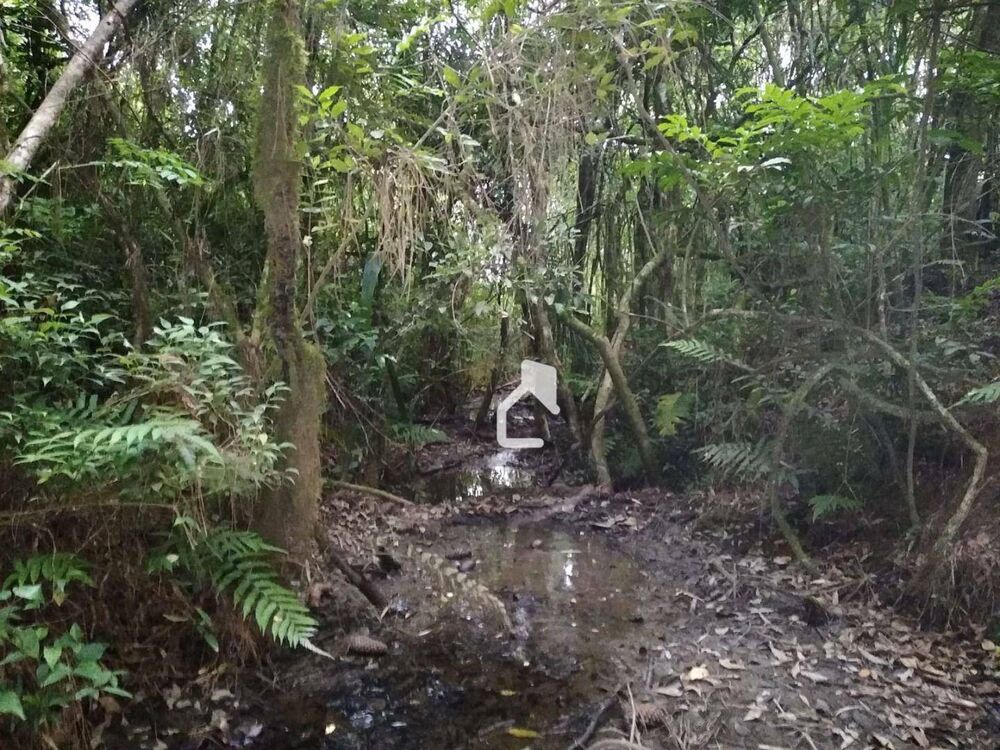 Terreno, 5568 m² - Foto 14