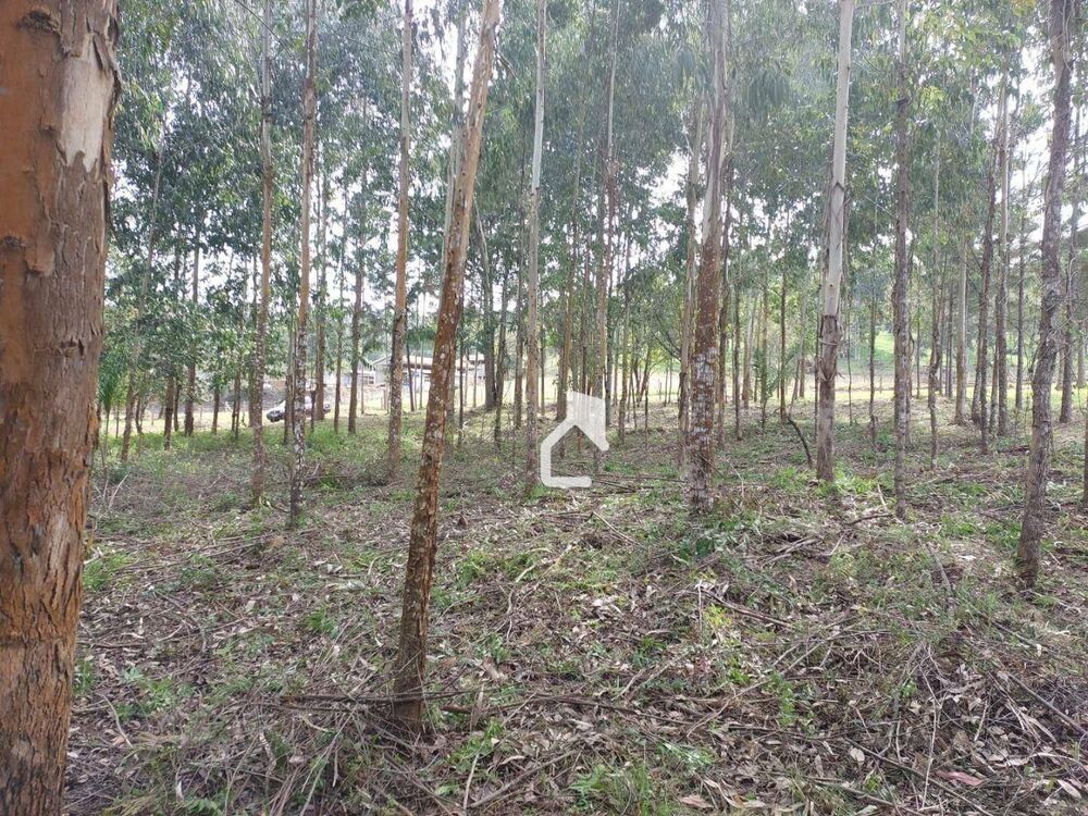 Terreno, 5568 m² - Foto 18