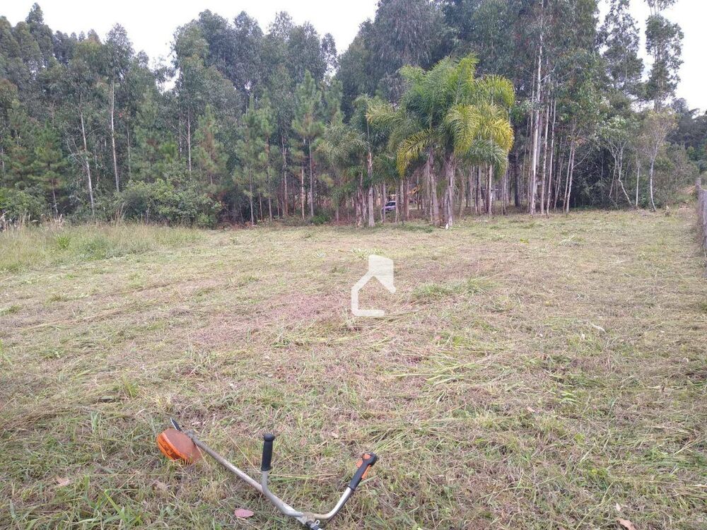 Terreno, 5568 m² - Foto 3