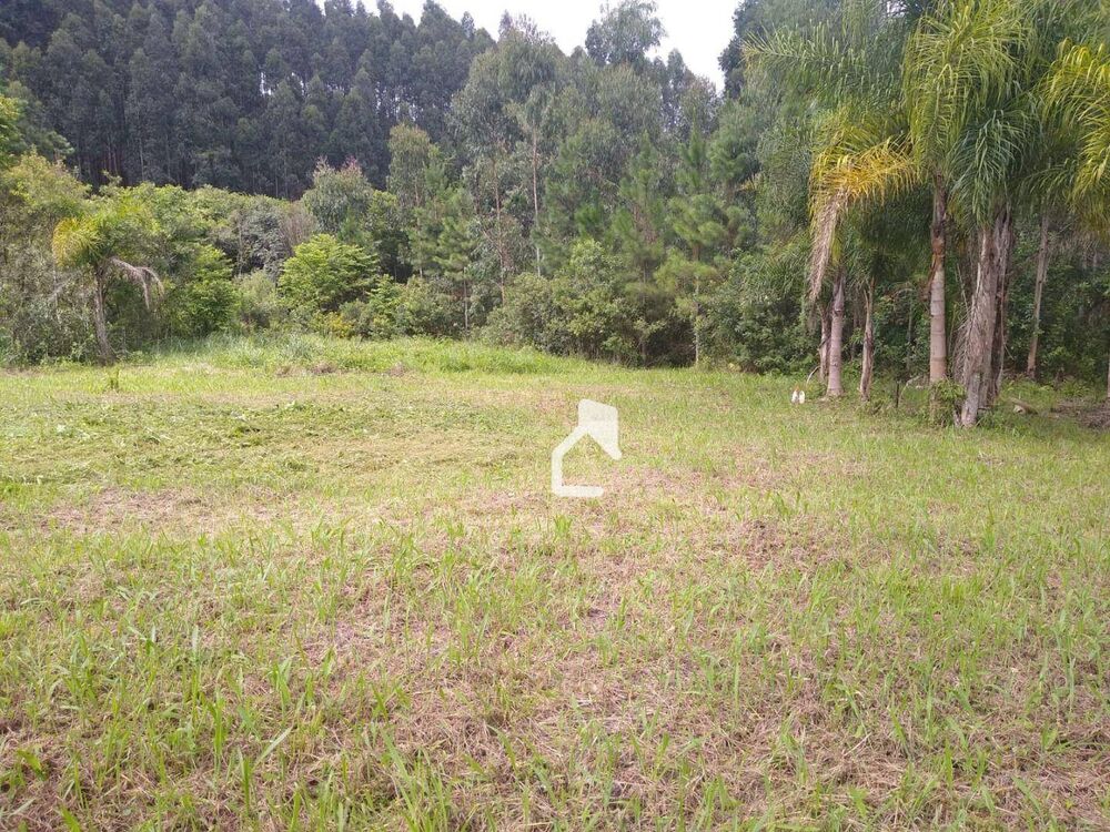 Terreno, 5568 m² - Foto 10