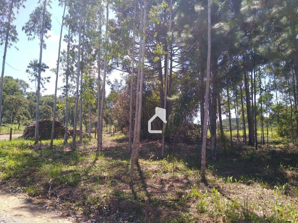 Terreno, 5568 m² - Foto 6