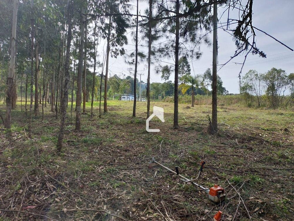 Terreno, 5568 m² - Foto 17