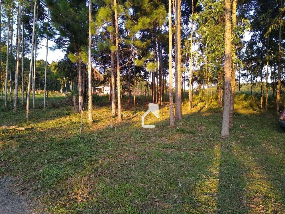 Terreno, 5568 m² - Foto 4