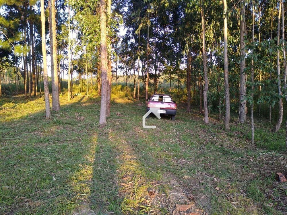 Terreno, 5568 m² - Foto 2