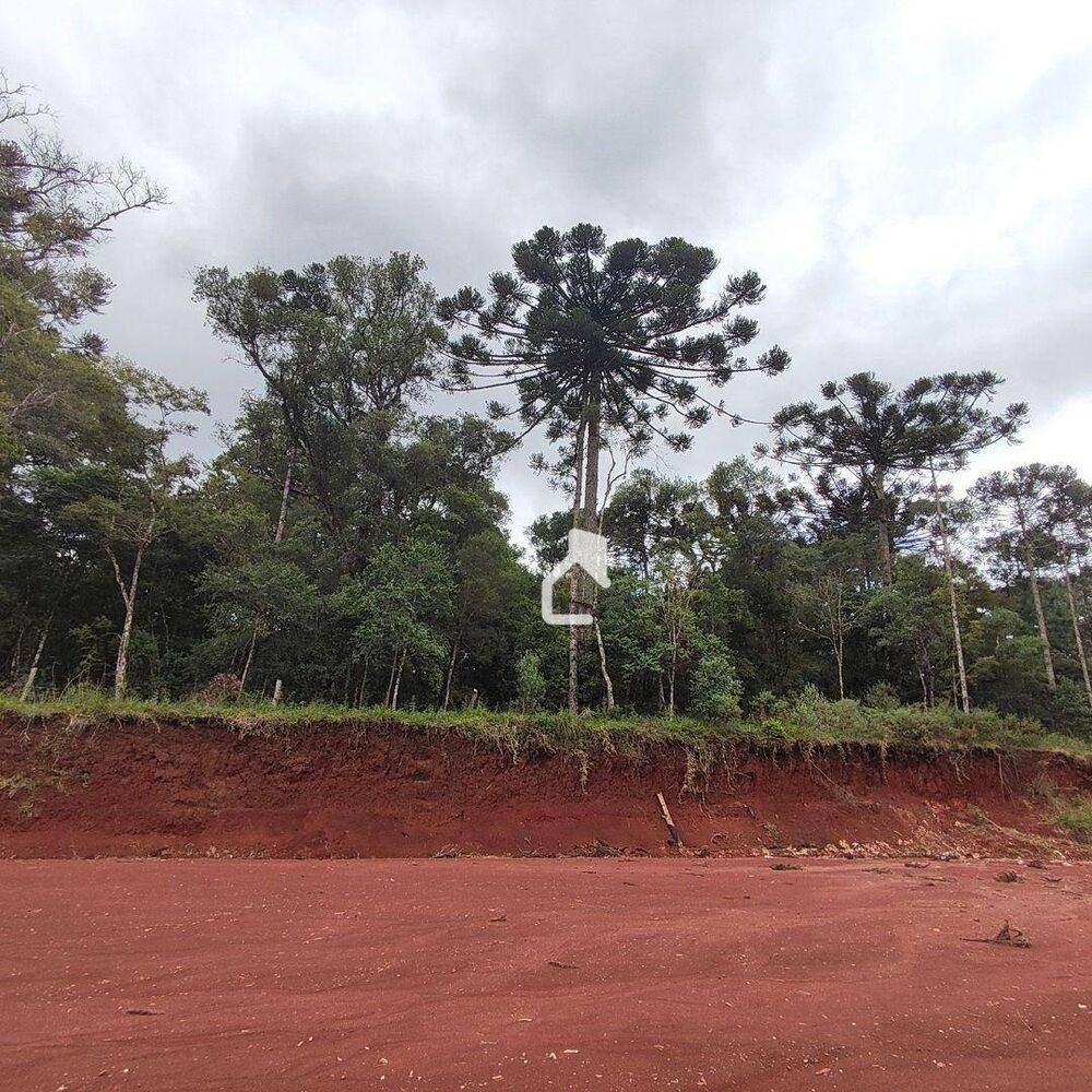 Terreno, 4 hectares - Foto 3