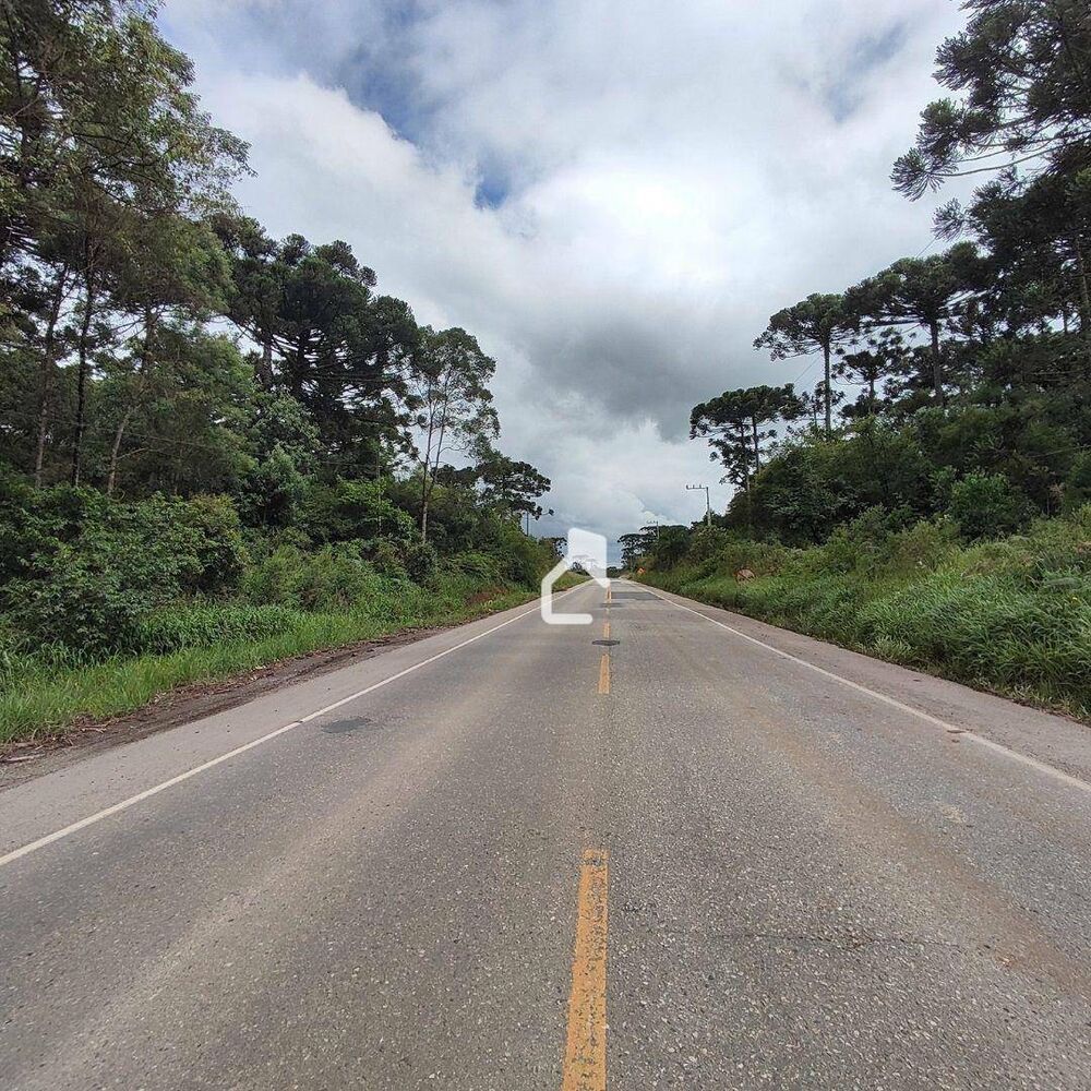 Terreno, 4 hectares - Foto 7