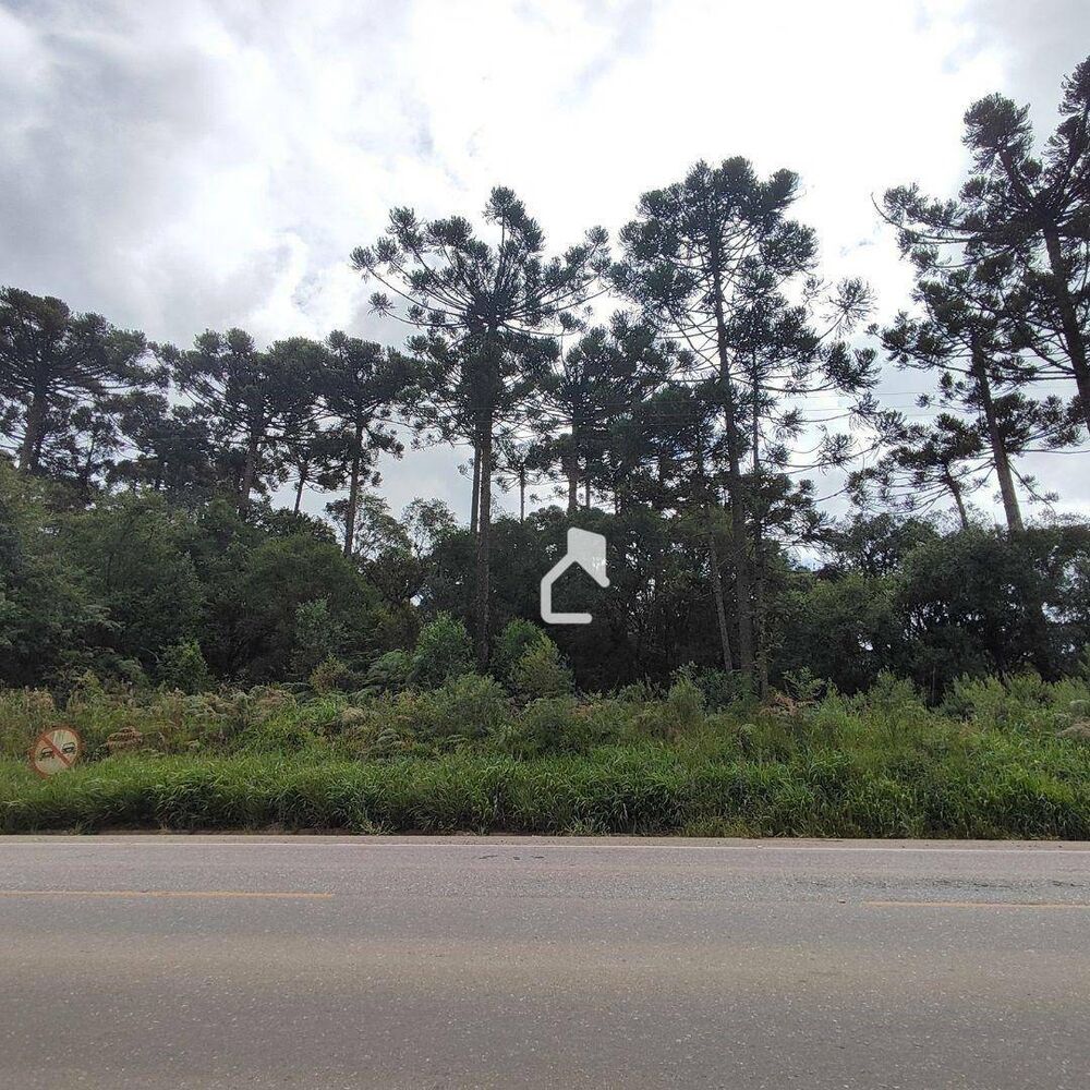 Terreno, 4 hectares - Foto 5