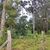 Terreno, 4 hectares - Foto 2