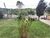 Casa, 3 quartos, 195 m² - Foto 4