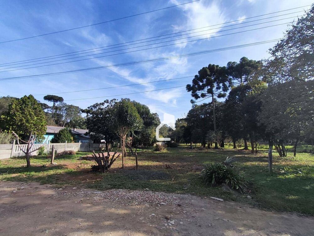 Terreno, 5600 m² - Foto 5