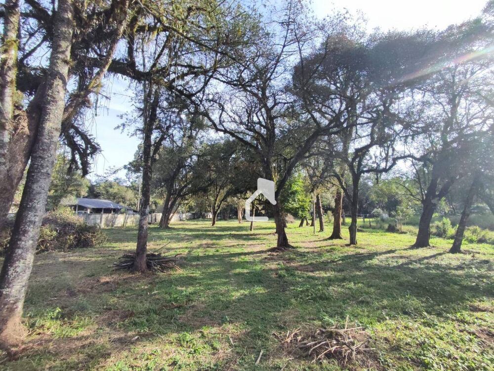 Terreno, 5600 m² - Foto 11