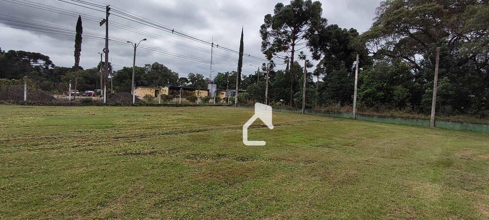 Depósito-Galpão, 4000 m² - Foto 9